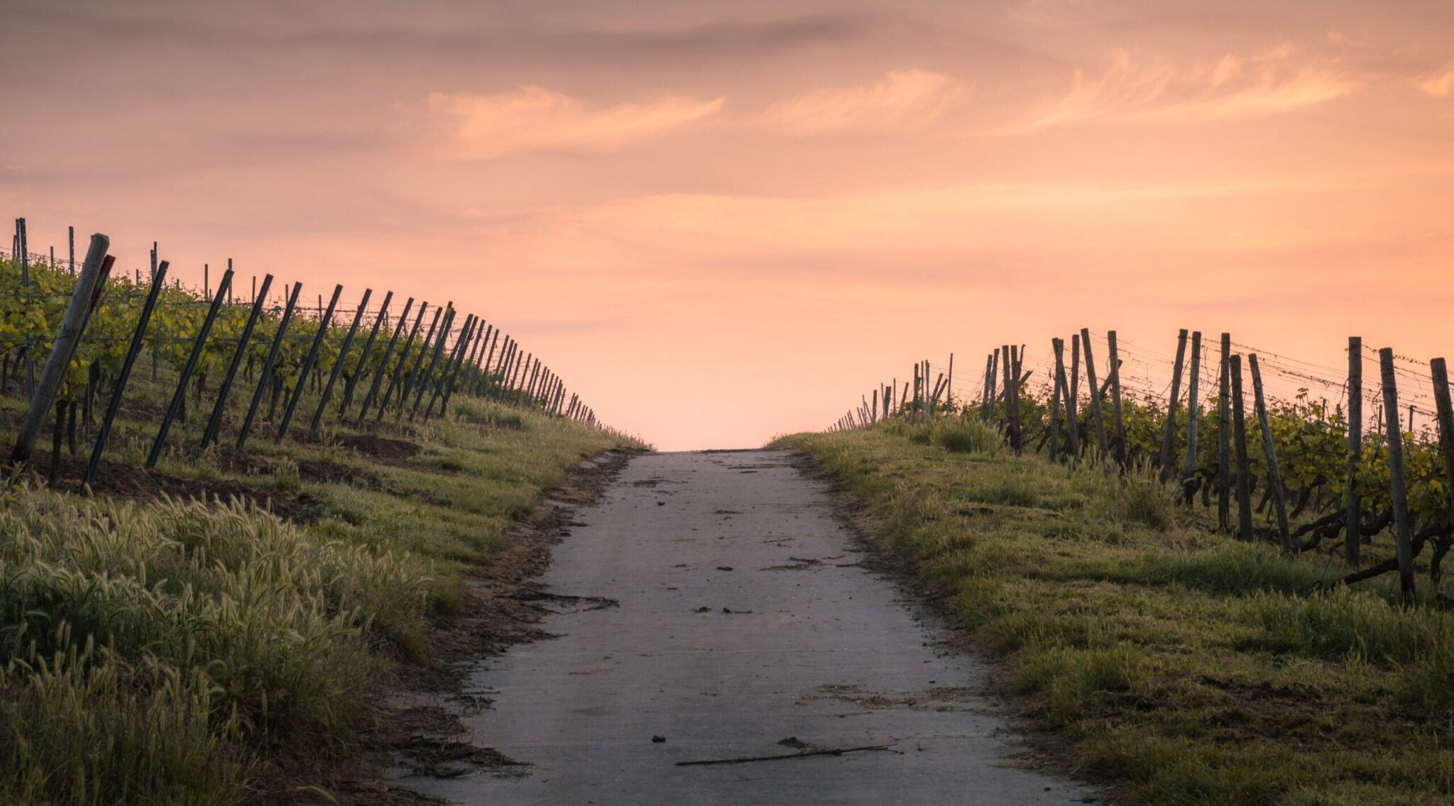 Psalm 119:33-36 — Seeking The Way