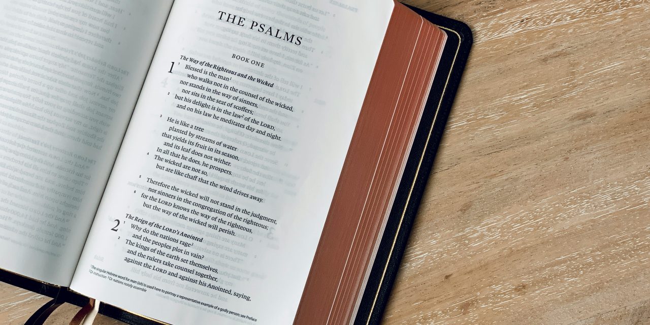 The Joy of Open Access: Crossway’s ESV in the Public Domain