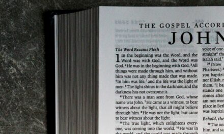 The Pricelessness of the Word