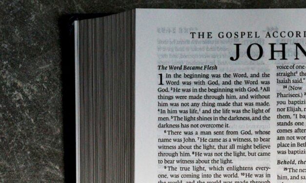 The Pricelessness of the Word